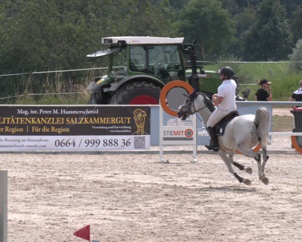 Springturnier Seewalchen 2025