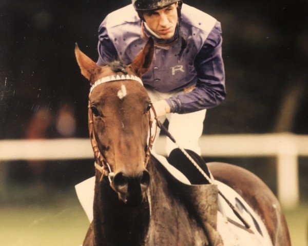 horse Aiglon xx (Thoroughbred, 1989, from Rubicon xx)