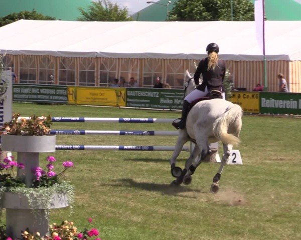 Reitturnier Dersekow 2025
