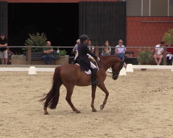 Reitturnier Uder, Reitanlage Kobold 2025