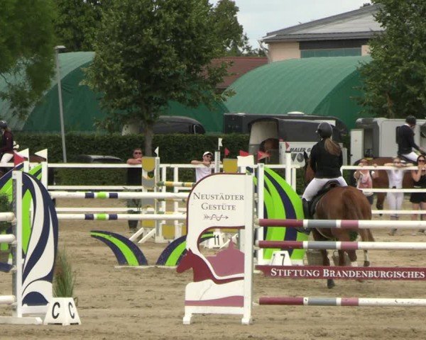 Reitturnier Neustadt/Dosse 2025