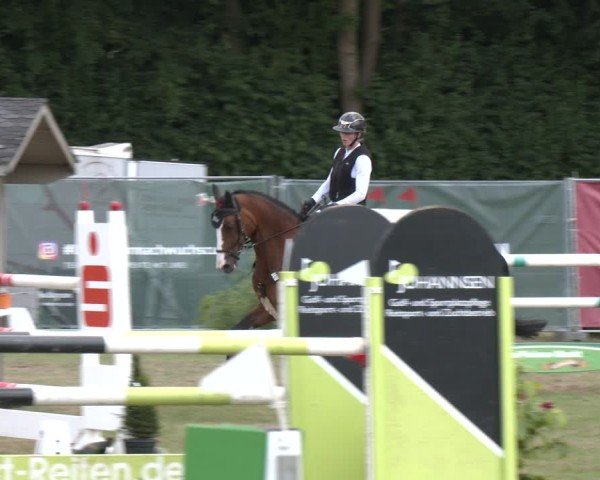 Reitturnier Wohlesbostel 2025
