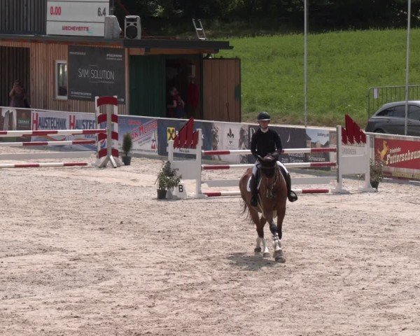 Springturnier Seewalchen 2025