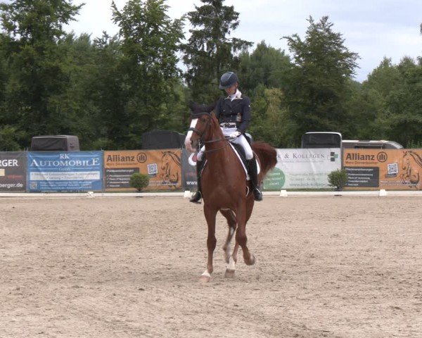 Reitturnier Heiligenwald 2025