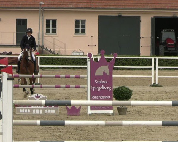 Reitturnier Neustadt/Dosse 2025