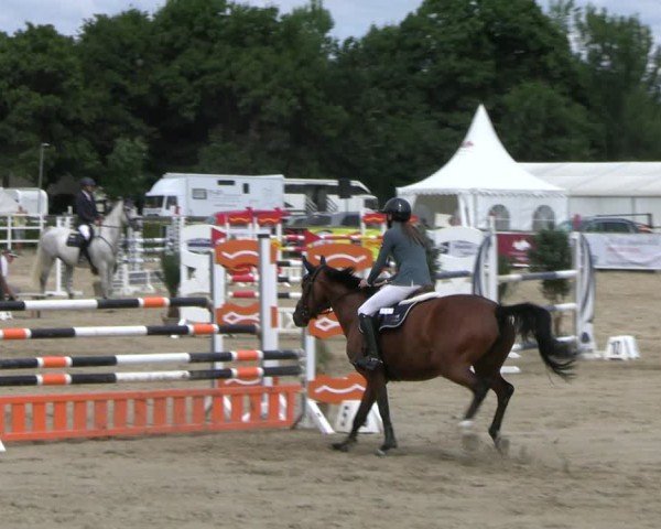 Reitturnier Neustadt/Dosse 2025