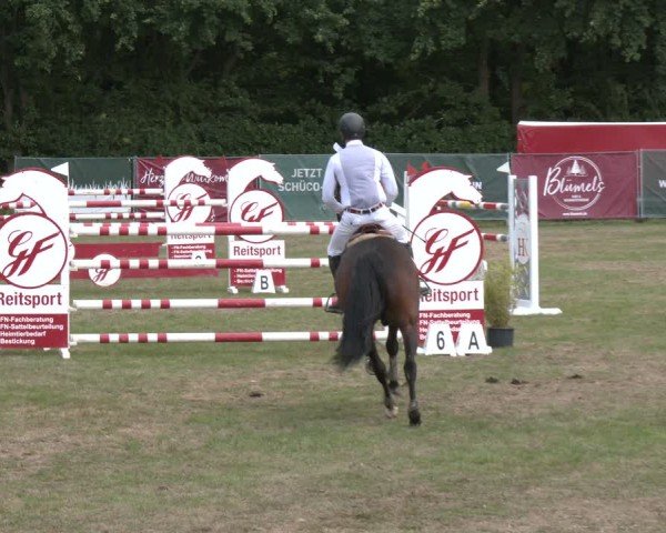 Reitturnier Wohlesbostel 2025