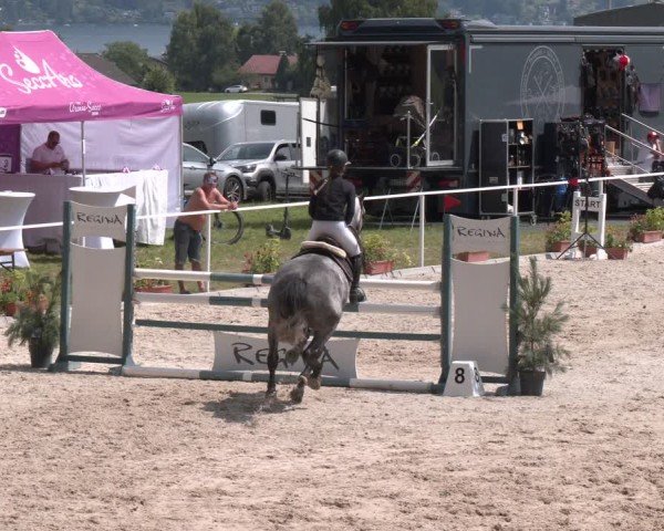 Springturnier Seewalchen 2025