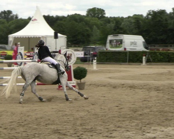 Reitturnier Neustadt/Dosse 2025