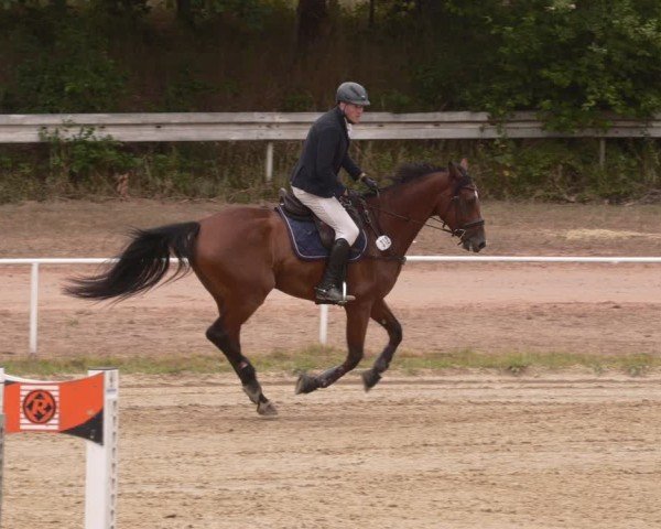 Reitturnier Heiligenwald 2025
