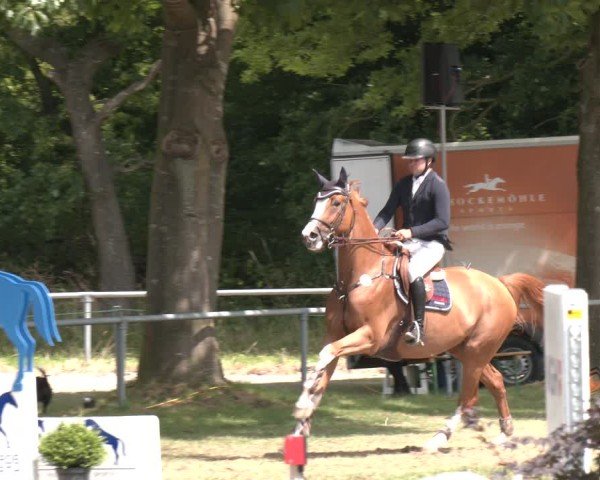 Reitturnier Wohlesbostel 2025