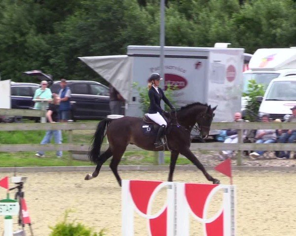 Reitturnier Niebüll 2025