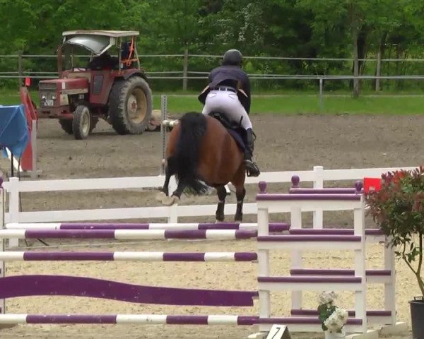 Springturnier Isny 2014