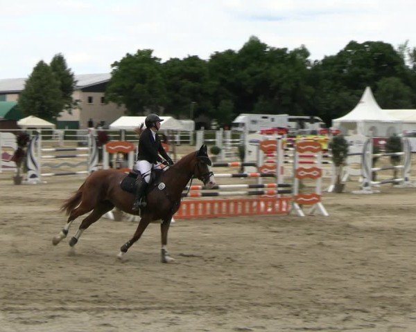 Reitturnier Neustadt/Dosse 2025