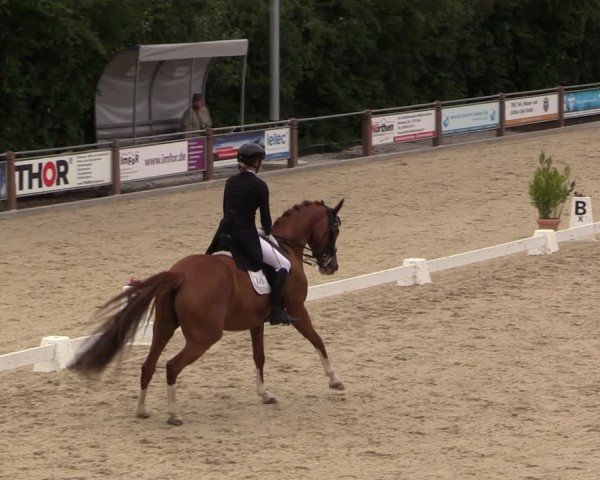 Reitturnier Uder, Reitanlage Kobold 2025