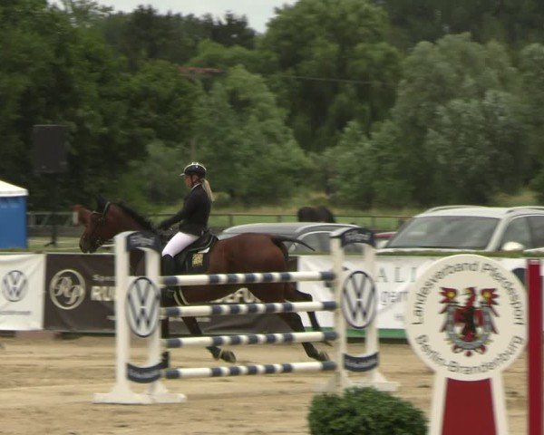 Reitturnier Neustadt/Dosse 2025