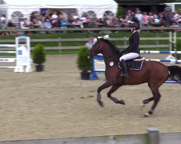 Reitturnier Niebüll 2025