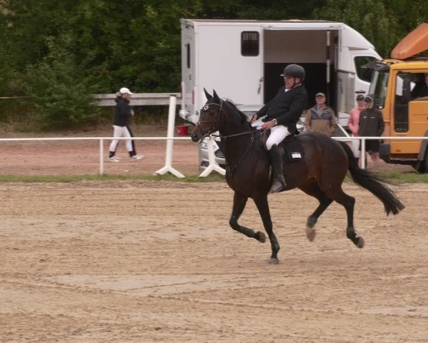 Reitturnier Heiligenwald 2025