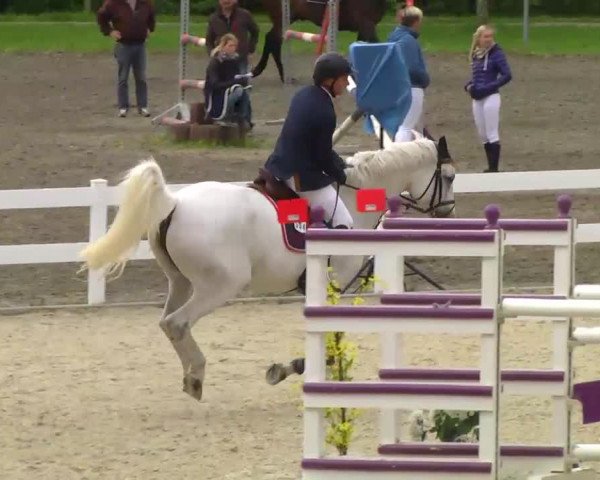 Springturnier Isny 2014