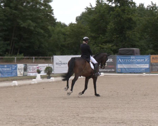 Reitturnier Heiligenwald 2025