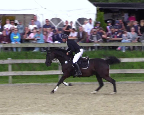 Reitturnier Niebüll 2025