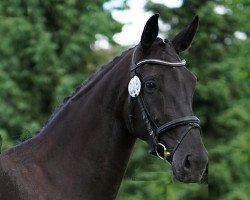 broodmare Fareale (Westphalian, 2011, from Fürstenball)