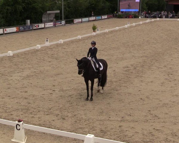 Reitturnier Uder, Reitanlage Kobold 2025