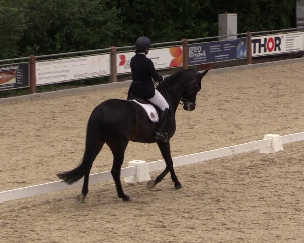Reitturnier Uder, Reitanlage Kobold 2025