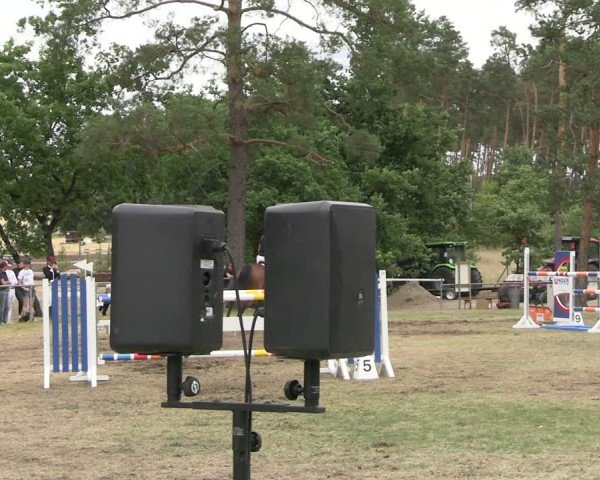 Reitturnier Niederwerbig 2025