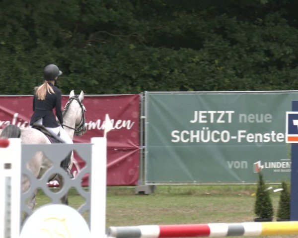 Reitturnier Wohlesbostel 2025