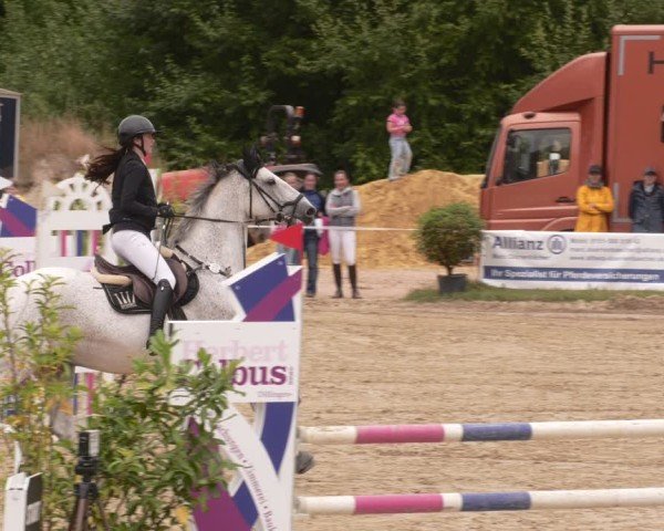 Reitturnier Heiligenwald 2025