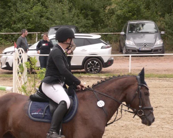 Reitturnier Heiligenwald 2025