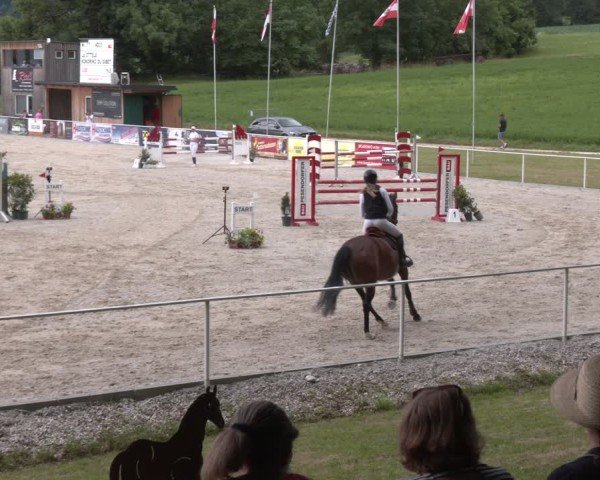 Springturnier Seewalchen 2025