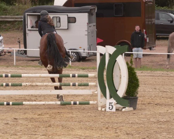 Reitturnier Heiligenwald 2025