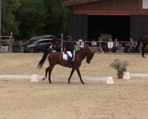 Reitturnier Uder, Reitanlage Kobold 2025