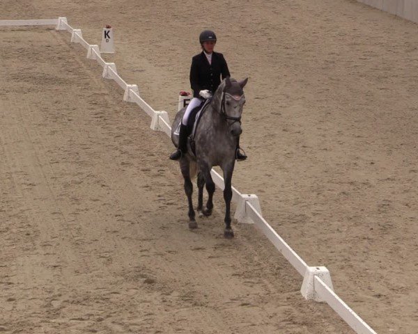 Reitturnier Uder, Reitanlage Kobold 2025