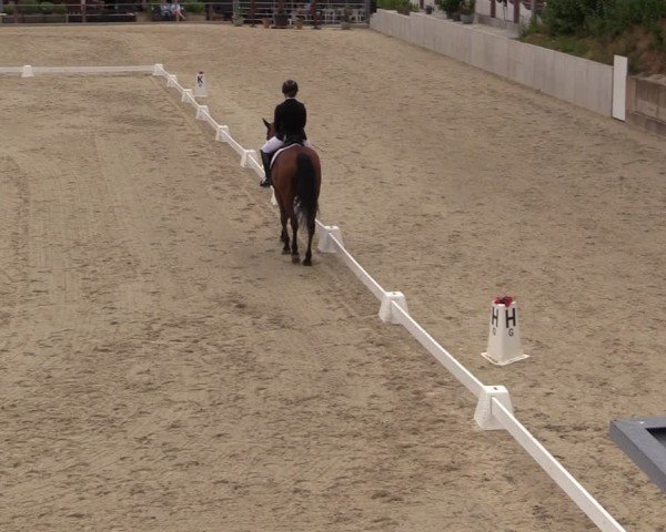 Reitturnier Uder, Reitanlage Kobold 2025