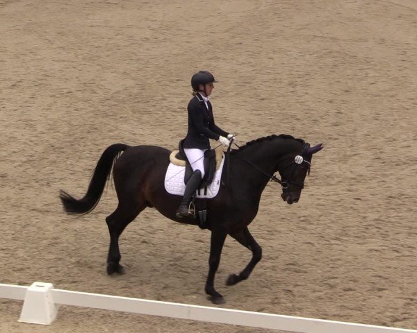 Reitturnier Uder, Reitanlage Kobold 2025