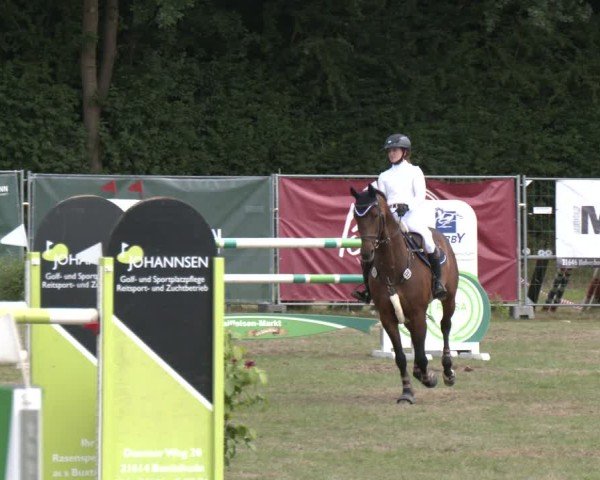 Reitturnier Wohlesbostel 2025
