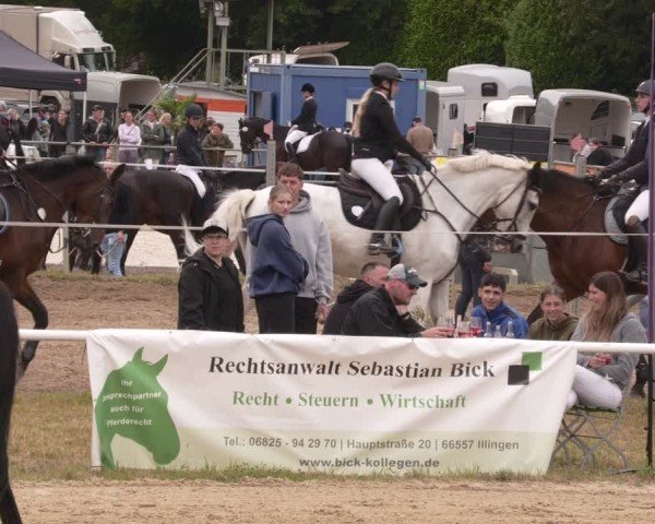Reitturnier Heiligenwald 2025