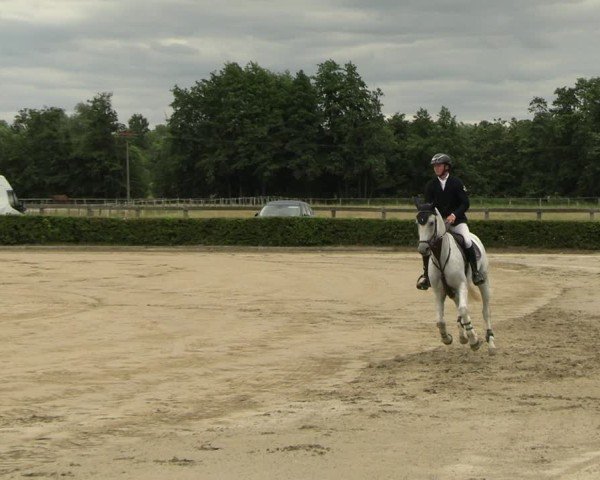 Reitturnier Neustadt/Dosse 2025