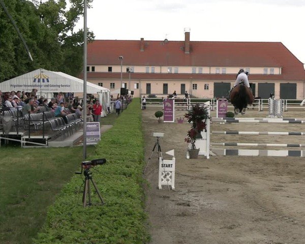 Reitturnier Neustadt/Dosse 2025