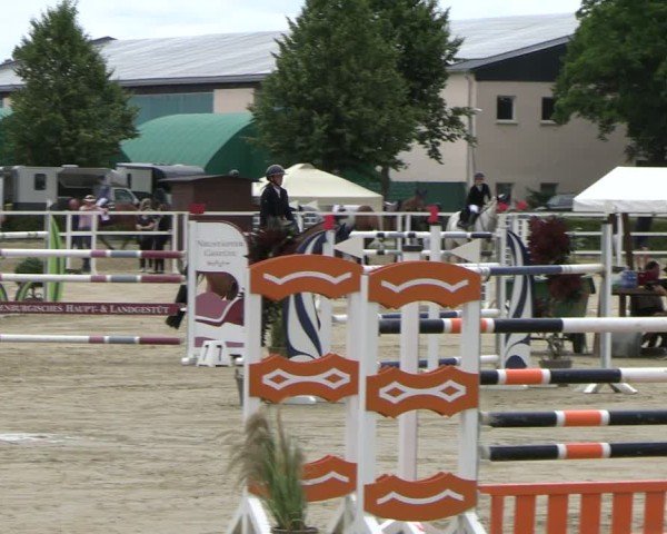 Reitturnier Neustadt/Dosse 2025