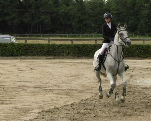Reitturnier Neustadt/Dosse 2025