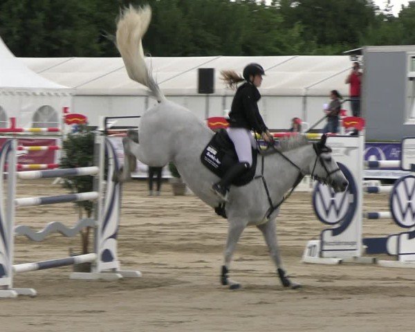 Reitturnier Neustadt/Dosse 2025