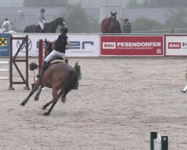 Springturnier Seewalchen 2025