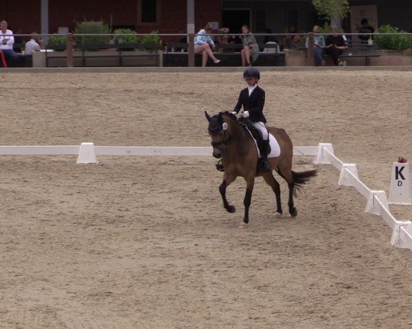Reitturnier Uder, Reitanlage Kobold 2025