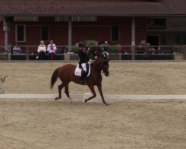 Reitturnier Uder, Reitanlage Kobold 2025