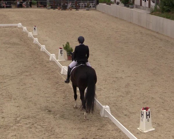 Reitturnier Uder, Reitanlage Kobold 2025