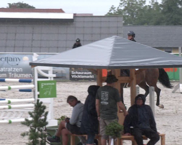 Springturnier Seewalchen 2025